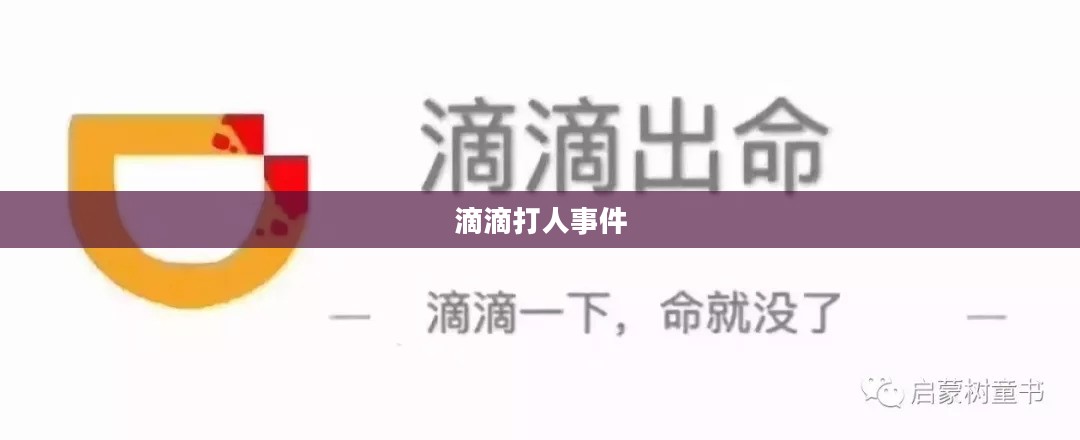 滴滴打人事件,探究背后的真相与反思社会应对 滴滴打人事件,探究背后的真相与反思社会应对