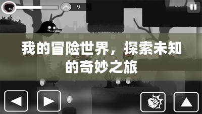 我的冒险世界，探索未知的奇妙之旅
