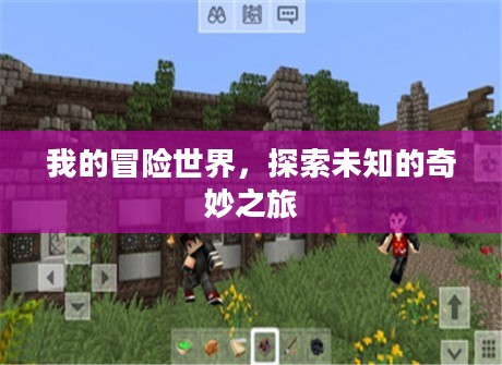 我的冒险世界，探索未知的奇妙之旅
