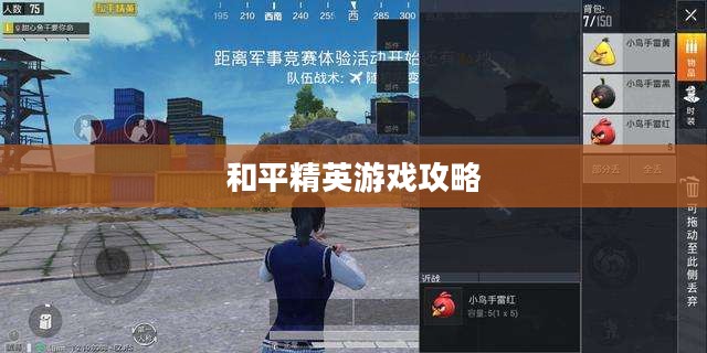 和平精英游戏攻略,玩转精英战场 和平精英游戏攻略,玩转精英战场