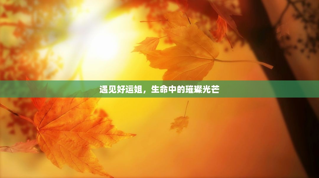 遇见好运姐，生命中的璀璨光芒