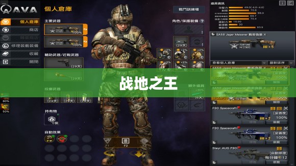 战地之王，加里奥的荣耀征途