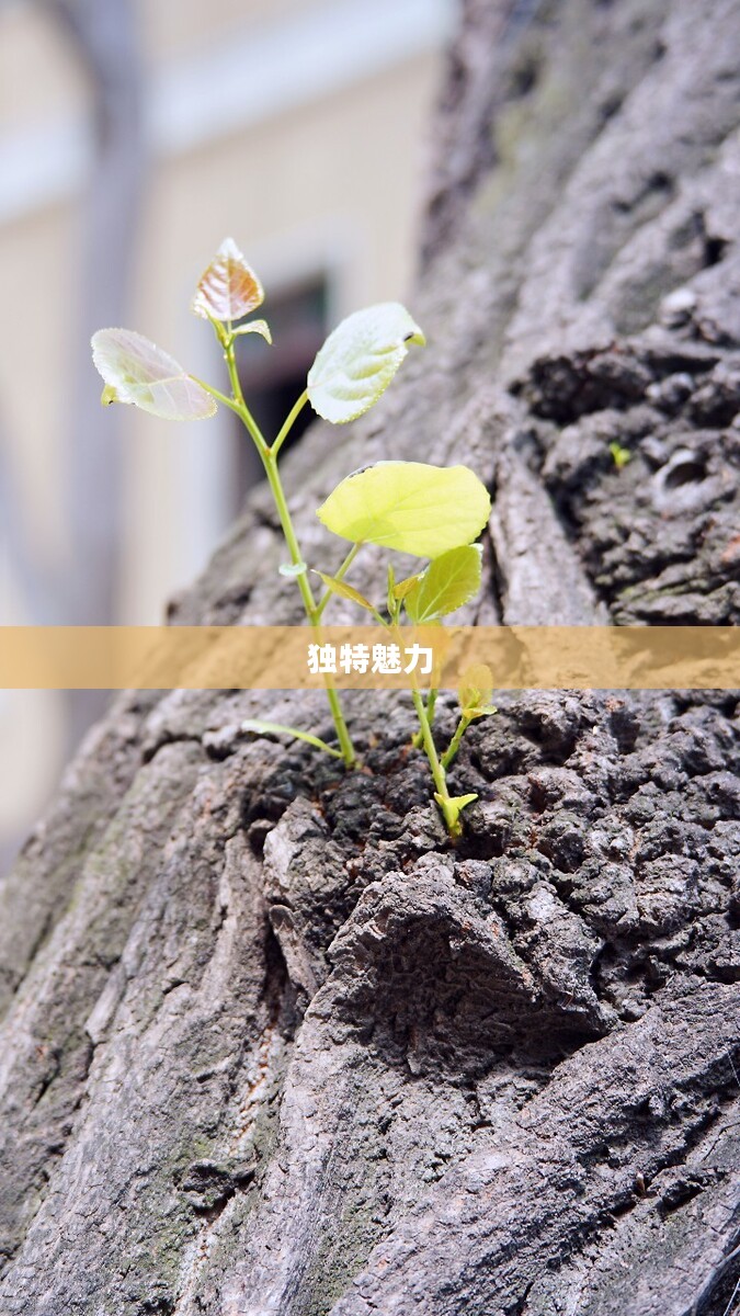 强烈的气息，探索生命的力量与独特魅力
