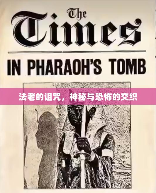 法老的诅咒,神秘与恐怖的交织 法老的诅咒,神秘与恐怖的交织
