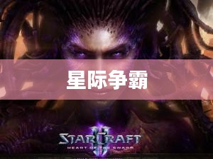 星际争霸,诺娃隐秘行动 星际争霸,诺娃隐秘行动