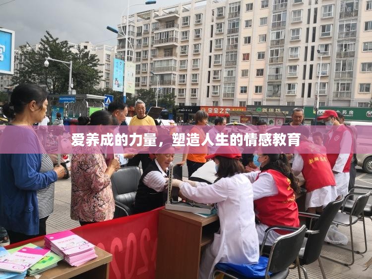 爱养成的力量，塑造人生的情感教育