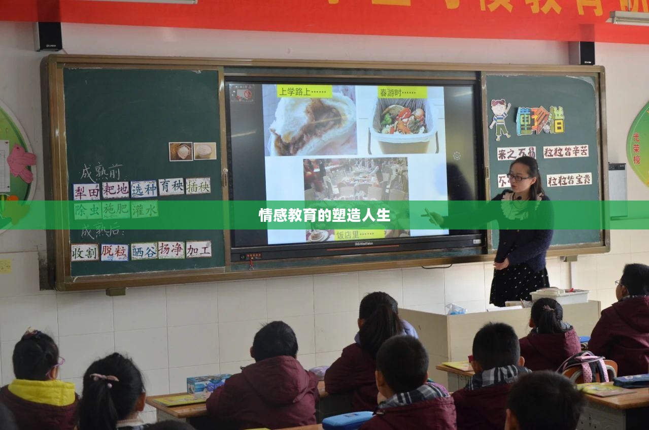 爱养成的力量,塑造人生的情感教育 爱养成的力量,塑造人生的情感教育