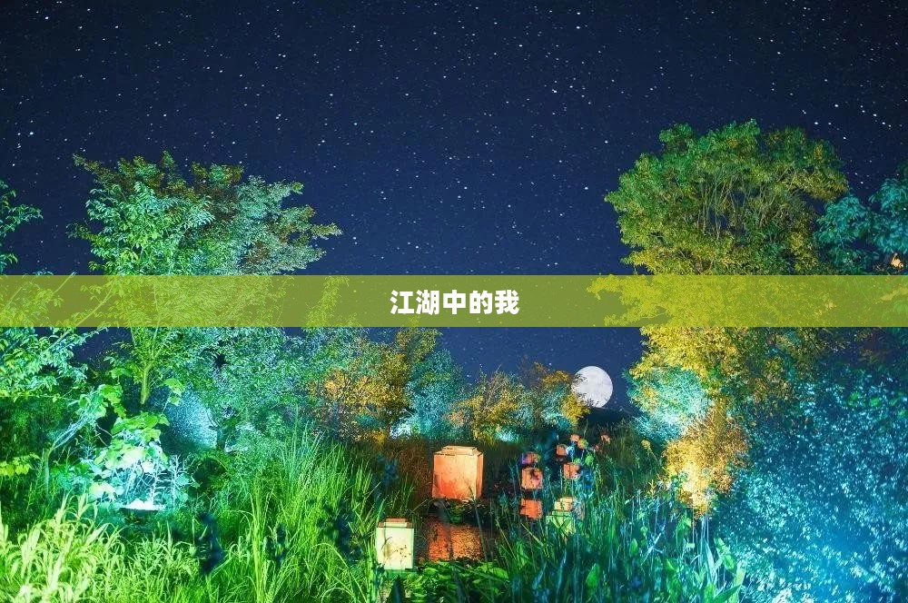 江湖中的我