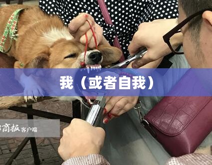 江湖中的我