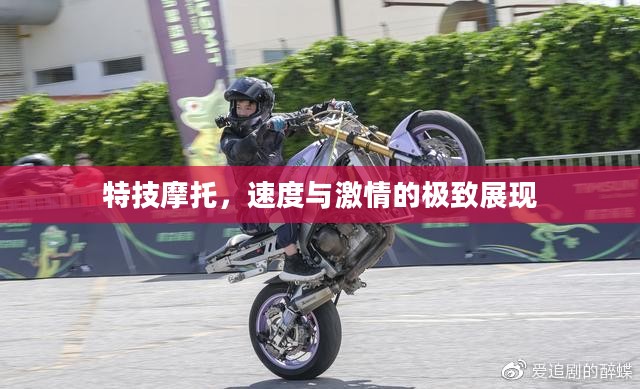 特技摩托,速度与激情的极致展现 特技摩托,速度与激情的极致展现