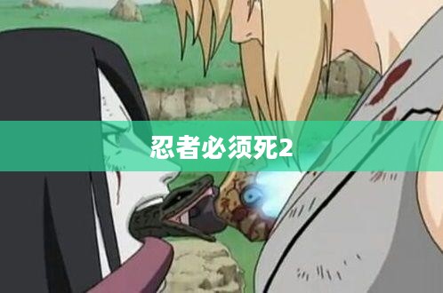 忍者必须死2，热血与荣耀的再次挑战