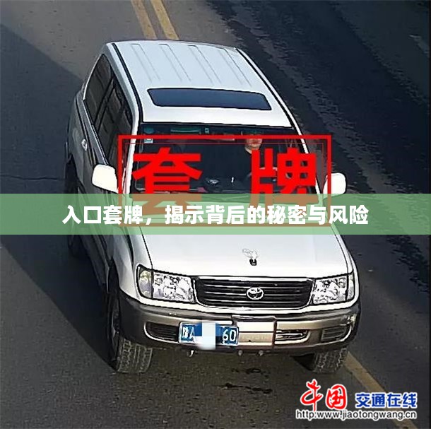 入口套牌，揭示背后的秘密与风险
