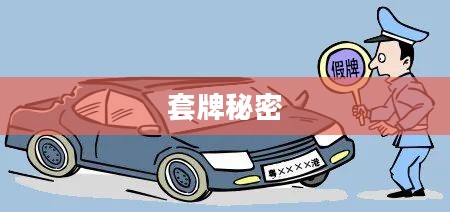 入口套牌，揭示背后的秘密与风险