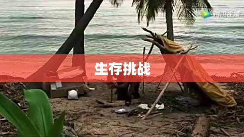 荒岛余生，一场生存的下载之旅