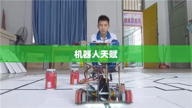 机器人天赋，塑造未来世界的核心力量