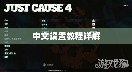 正当防卫4中文设置教程详解