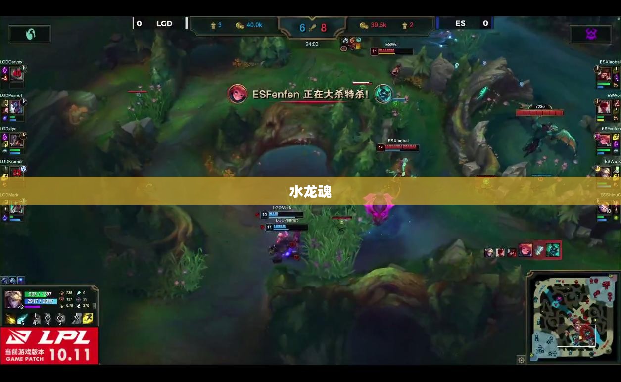 水龙魂，古老传说中的神秘力量