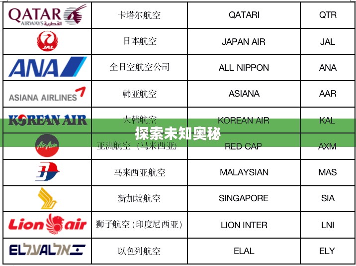 游戏空白代码复制,探索未知的奥秘 游戏空白代码复制,探索未知的奥秘