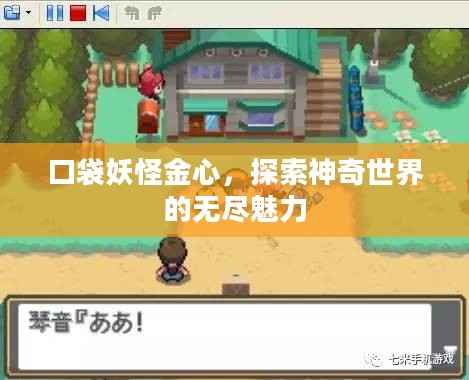 口袋妖怪金心，探索神奇世界的无尽魅力