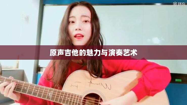 原声吉他的魅力与演奏艺术 原声吉他的魅力与演奏艺术