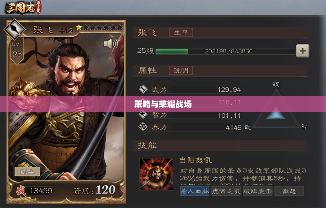 三国无双OL，策略与荣耀的战场