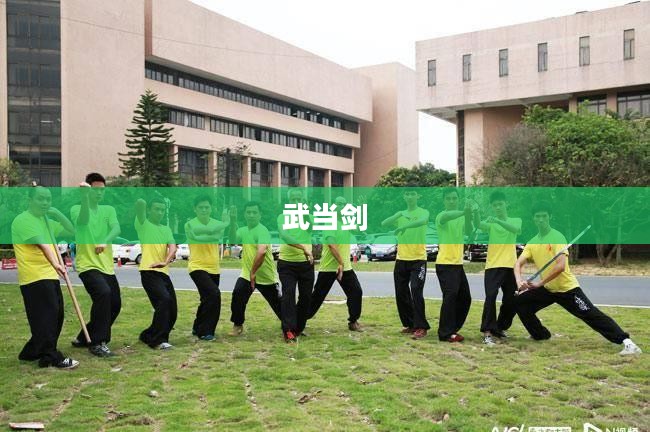 武当剑,传承与发扬中华武术之魂 武当剑,传承与发扬中华武术之魂
