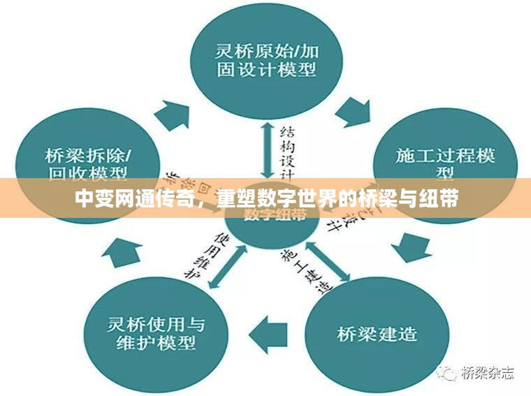 中变网通传奇，重塑数字世界的桥梁与纽带
