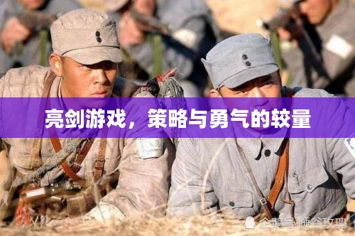 亮剑游戏，策略与勇气的较量