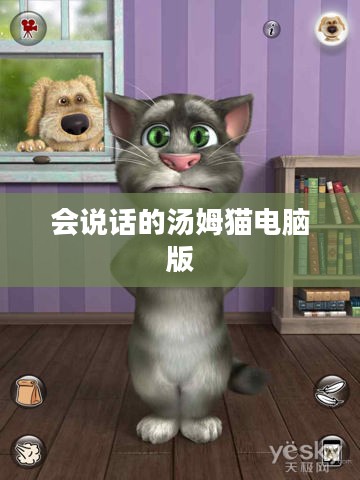 会说话的汤姆猫电脑版，游戏魅力与体验分享