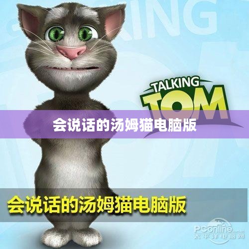 会说话的汤姆猫电脑版,游戏魅力与体验分享 会说话的汤姆猫电脑版,游戏魅力与体验分享