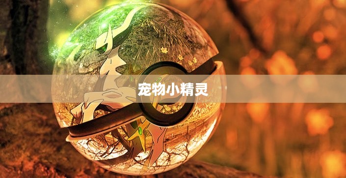宠物小精灵下载，探索神奇世界的无尽乐趣