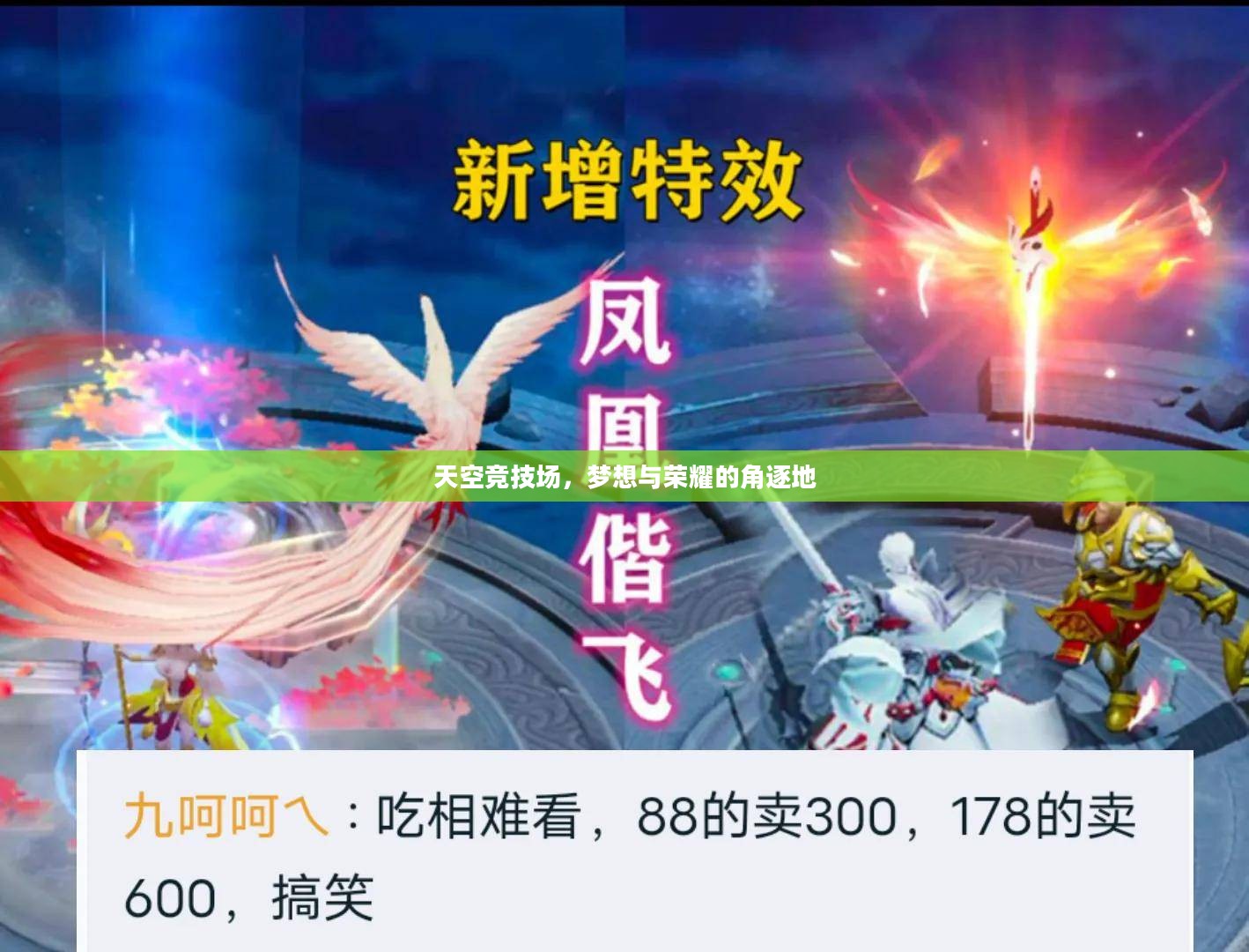 天空竞技场，梦想与荣耀的角逐地