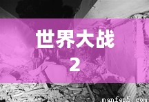世界大战2，历史、影响与反思