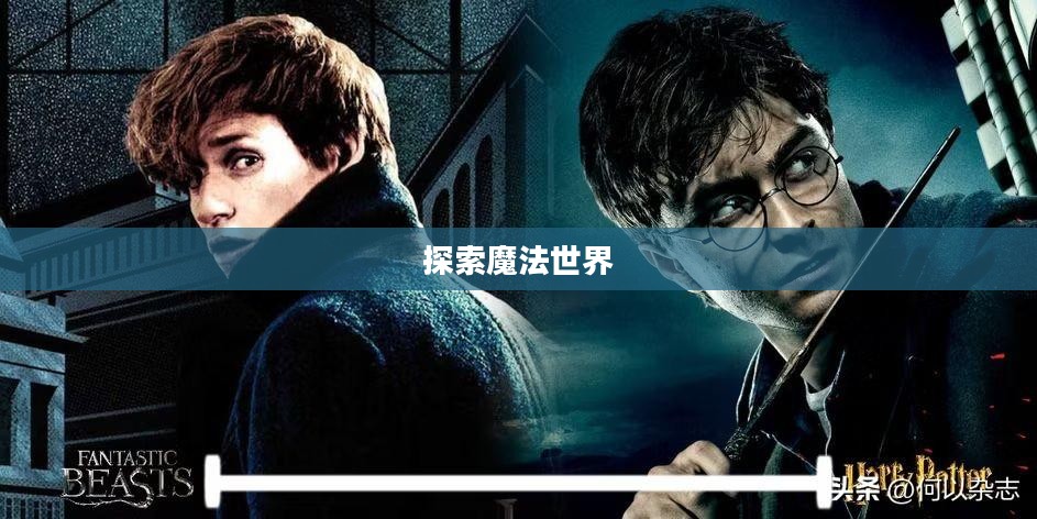 Pottermore测试入口,探索魔法世界的神秘之门 Pottermore测试入口,探索魔法世界的神秘之门