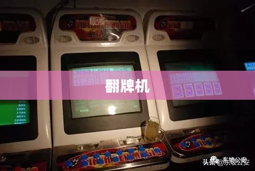 翻牌机的魅力与探索