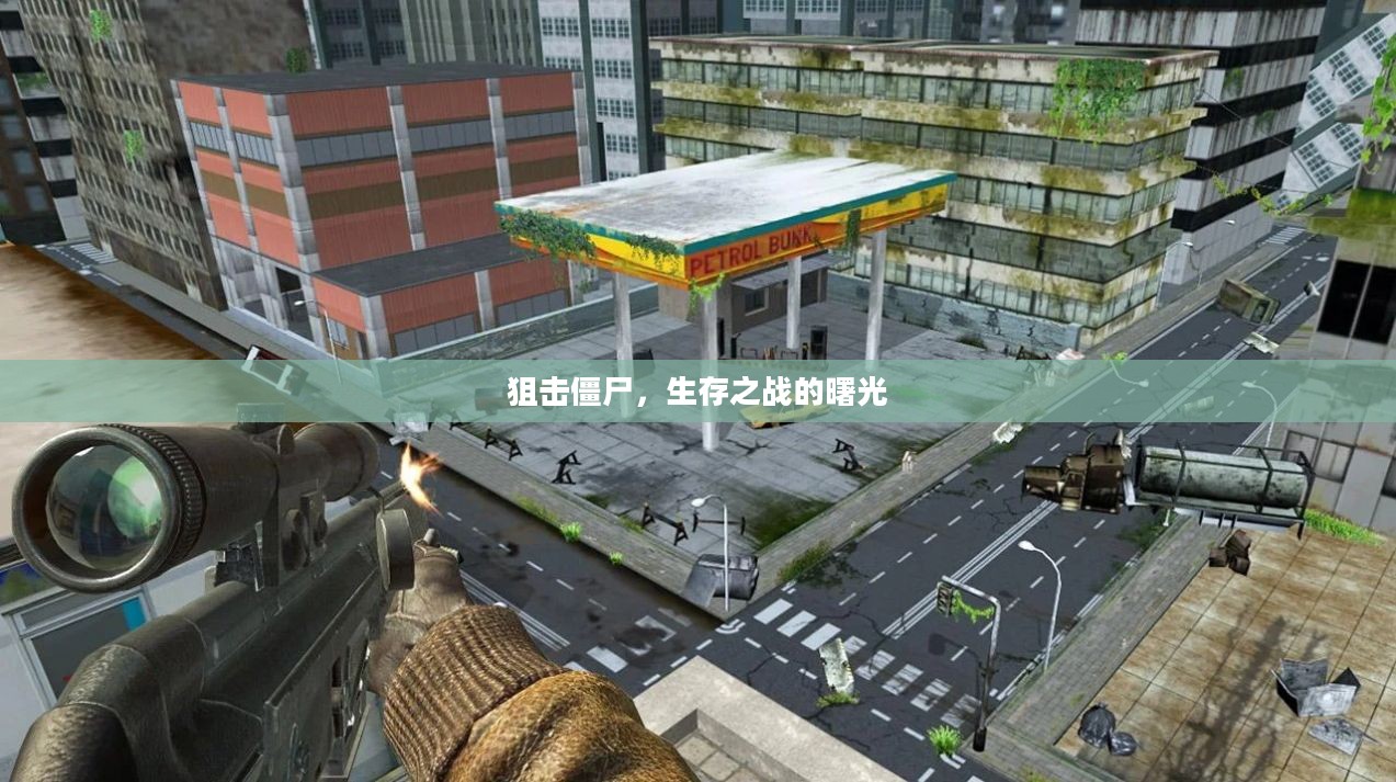 狙击僵尸，生存之战的曙光