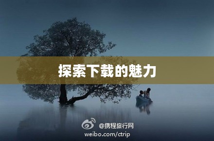 飘飘欲仙，下载的魅力与探索