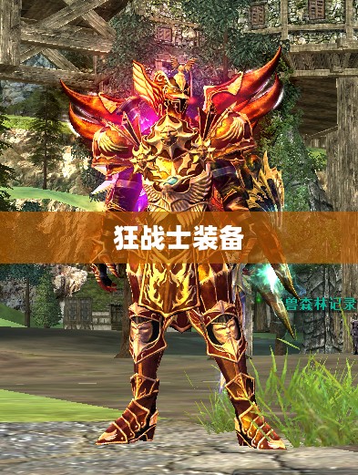 狂战士装备，力量与荣耀的象征