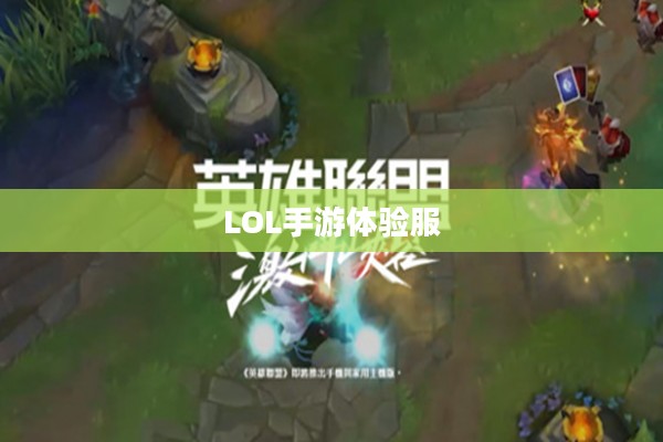LOL手游体验服，深入探索与独特体验