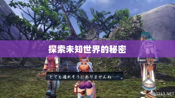 伊苏6完美攻略，探索未知世界的秘密