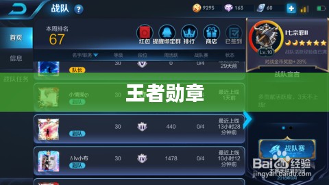 王者勋章，荣耀的象征与追求的力量