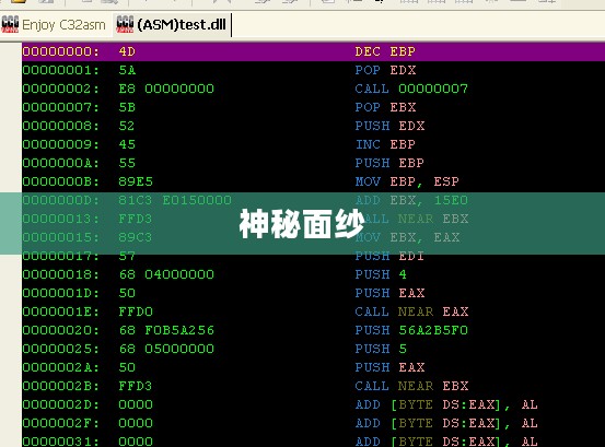 揭开秘密代码的神秘面纱