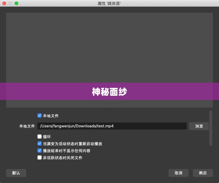 揭开秘密代码的神秘面纱