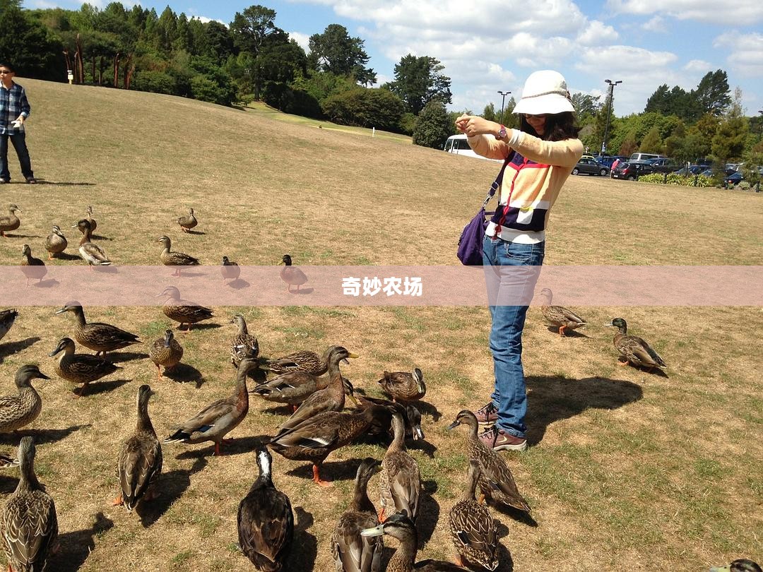 奇妙农场，人与自然和谐共生的绿色乐园