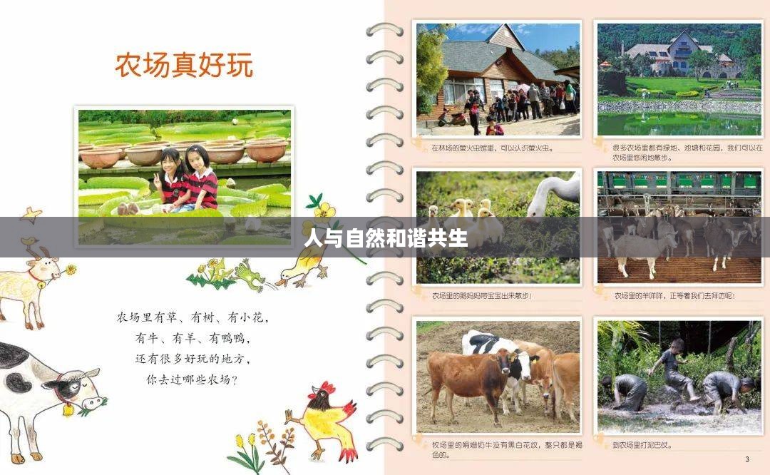 奇妙农场，人与自然和谐共生的绿色乐园