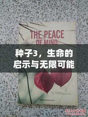 种子3，生命的启示与无限可能