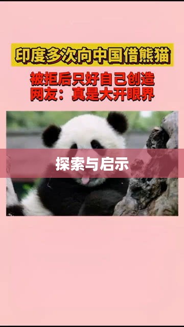 无知熊猫，探索与启示