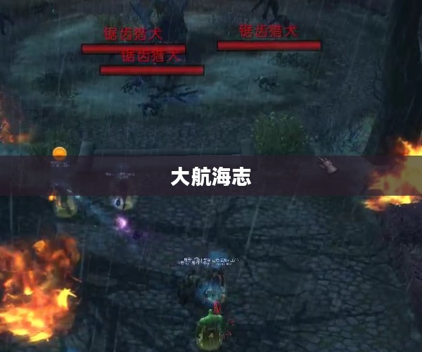 大航海志，探索未知，勇闯天涯