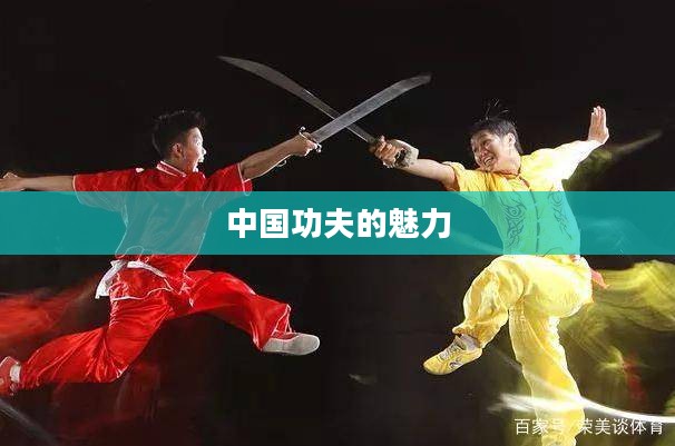 功夫之王国语,探寻中国功夫的魅力与传承 功夫之王国语,探寻中国功夫的魅力与传承