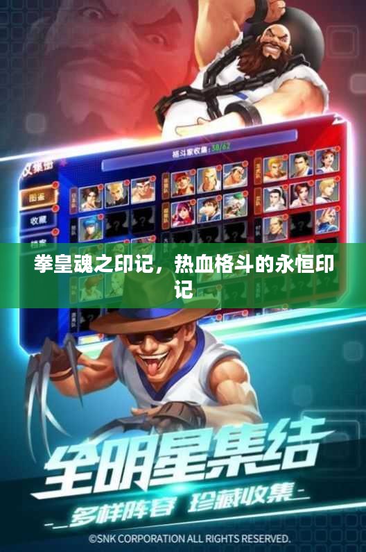 拳皇魂之印记,热血格斗的永恒印记 拳皇魂之印记,热血格斗的永恒印记